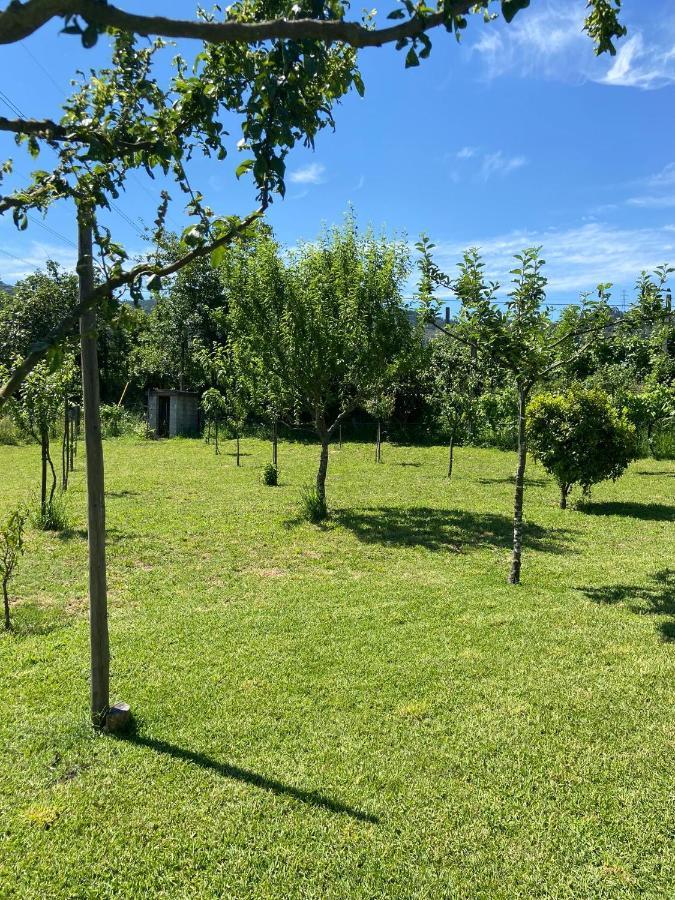 Casa Dos Avos Villa Póvoa de Lanhoso Exteriör bild